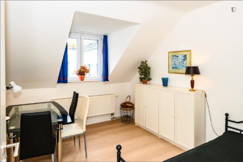 Cozy 1 Bedroom Apartment close to Rhine River - Gallery - 21