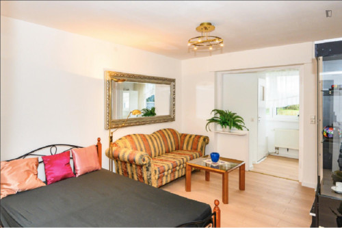 Cozy 1 Bedroom Apartment close to Rhine River - Gallery - 18
