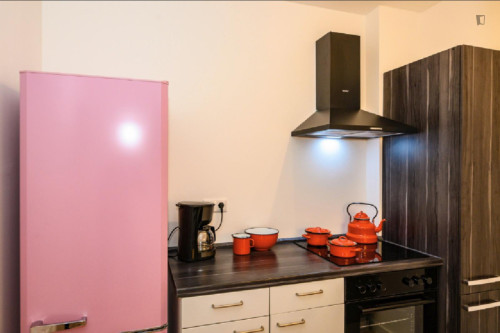 Cozy 1 Bedroom Apartment close to Rhine River - Gallery - 10
