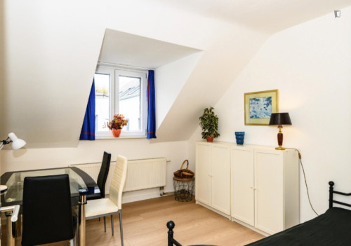 Cozy 1 Bedroom Apartment close to Rhine River - Gallery - 22