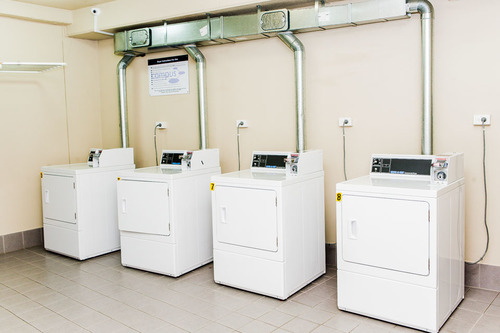 Canberra Uni Gardens