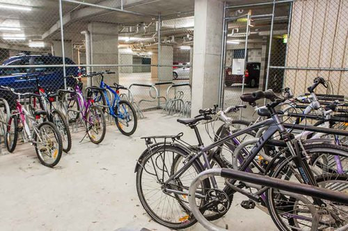 Canberra Uni Gardens