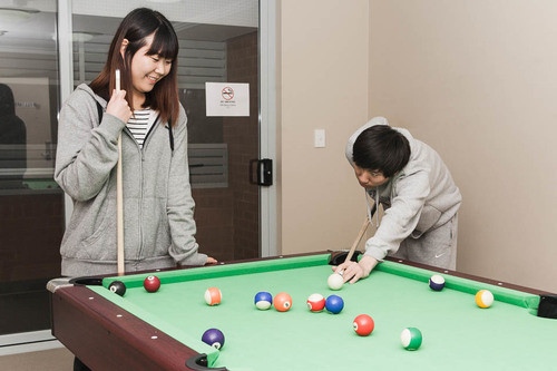 Canberra Uni Gardens