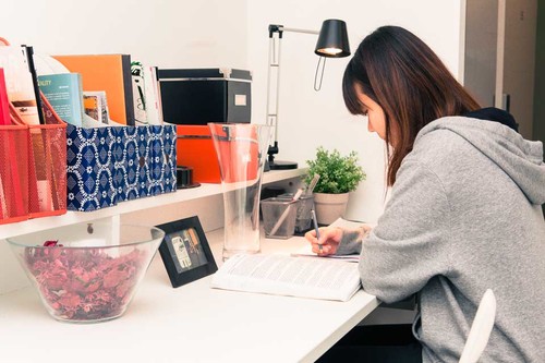  Studio  -  Canberra Uni Gardens  - Gallery -  1