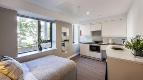 Holden Court - Gallery - 45