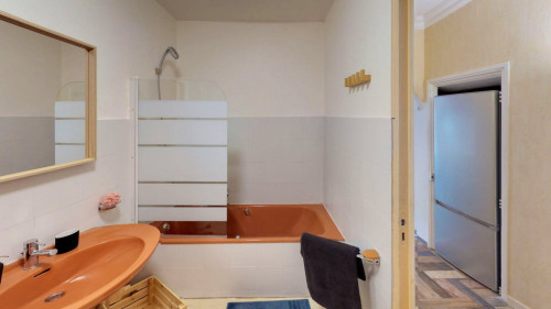 Lovely Luxury Apt. near Centre Historique and close by Comedie