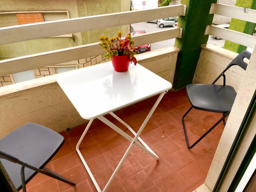 Lovely single bedroom next to Escola Superior de Educação