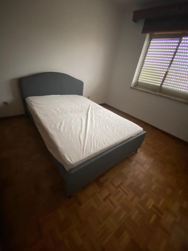 Nice double bedroom in Macedo de Cavaleiros