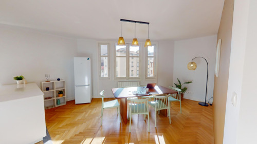 3-Bed Apartment on Rue Salomon Reinach