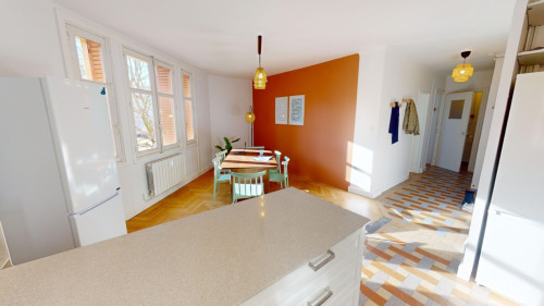 3-Bed Apartment on Rue Salomon Reinach