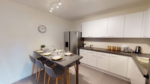 Exquisite 5-bedroom apartment near Basilique Saint-Sernin de Toulouse