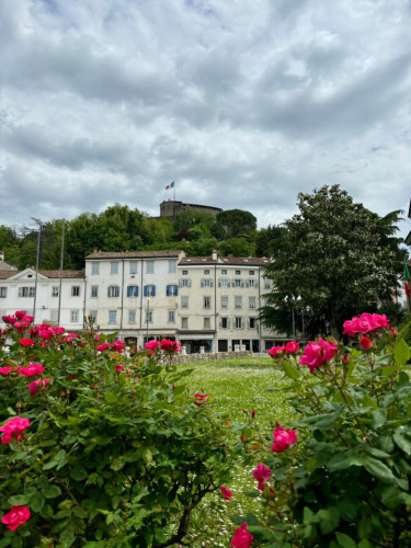 Rastello Home - Gallery - 46