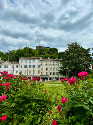 Rastello Home - Gallery - 57