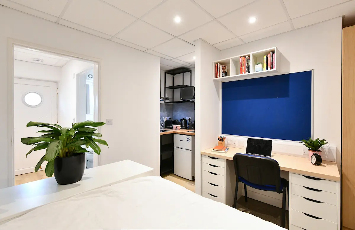 Classic Studio - Type B - Duncan Smith House - Gallery - 2