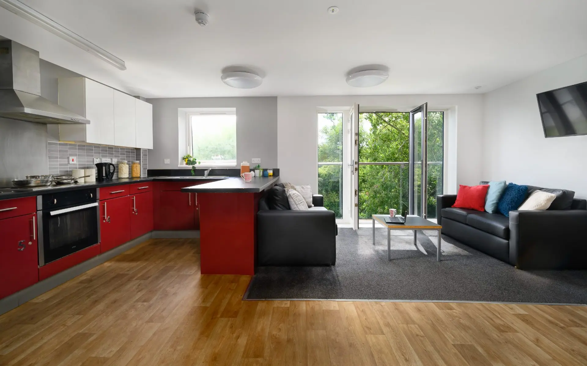 4 Bedroom Apartment - Deluxe Room - 3