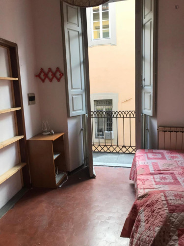 Nice apartment near Torre di Pisa