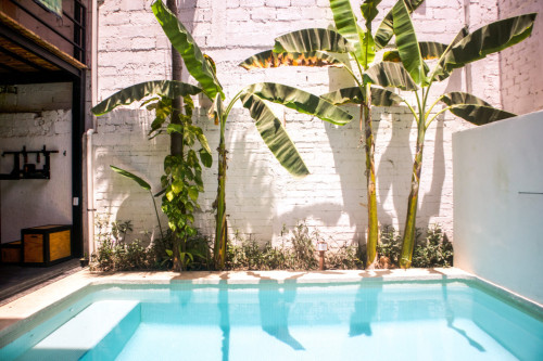 Wellness-Focused Sustainable Coliving in Sayulita