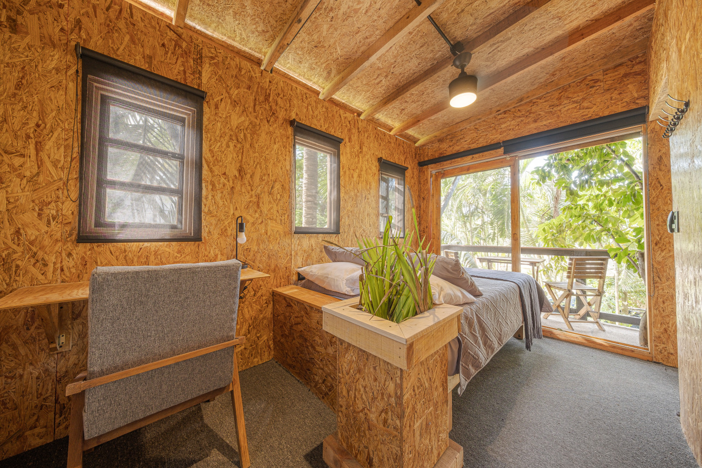  Ficus Tree House Medium  -  La Estropajera House  - Gallery -  18