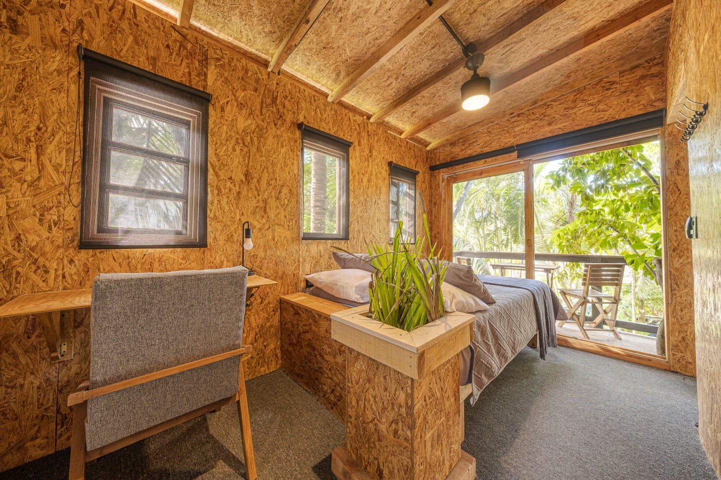  Ficus Tree House Medium  -  La Estropajera House  - Gallery -  6