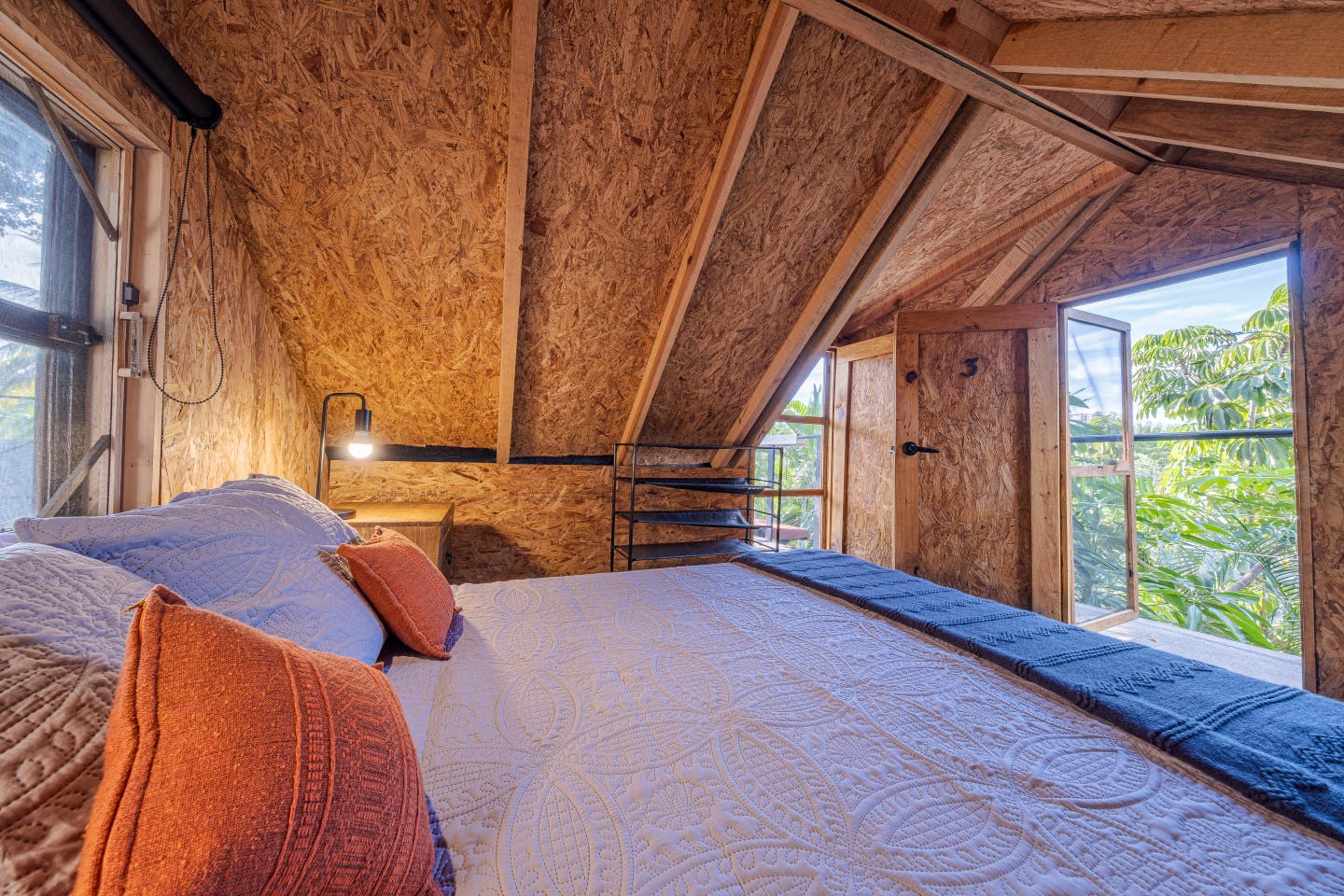 Ficus Tree House Small  -  La Estropajera House  - Gallery -  6