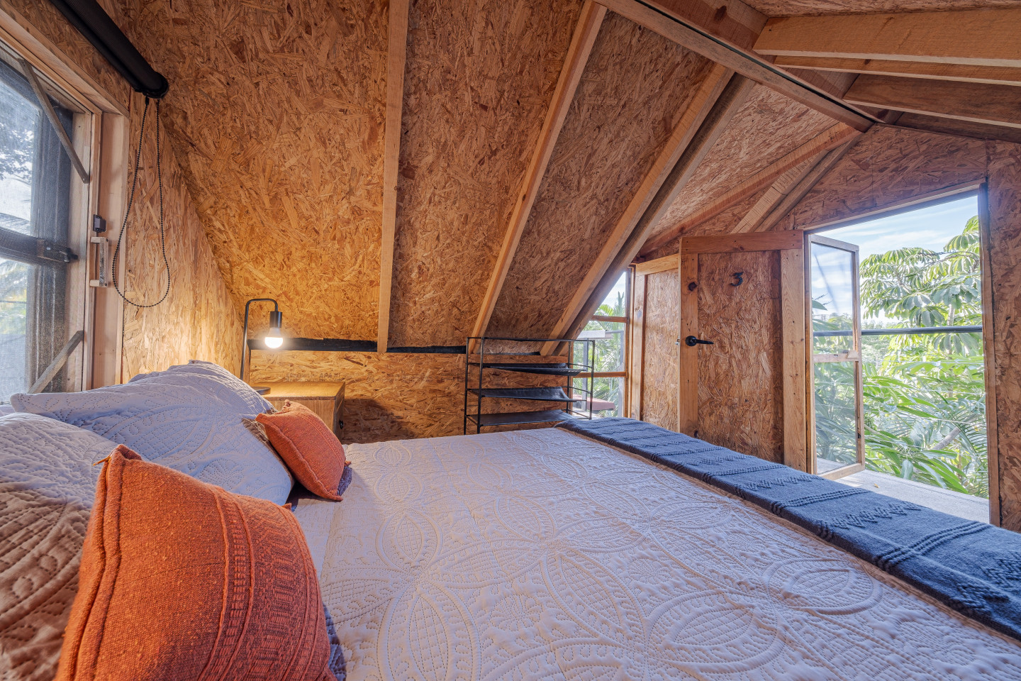  Ficus Tree House Small  -  La Estropajera House  - Gallery -  10