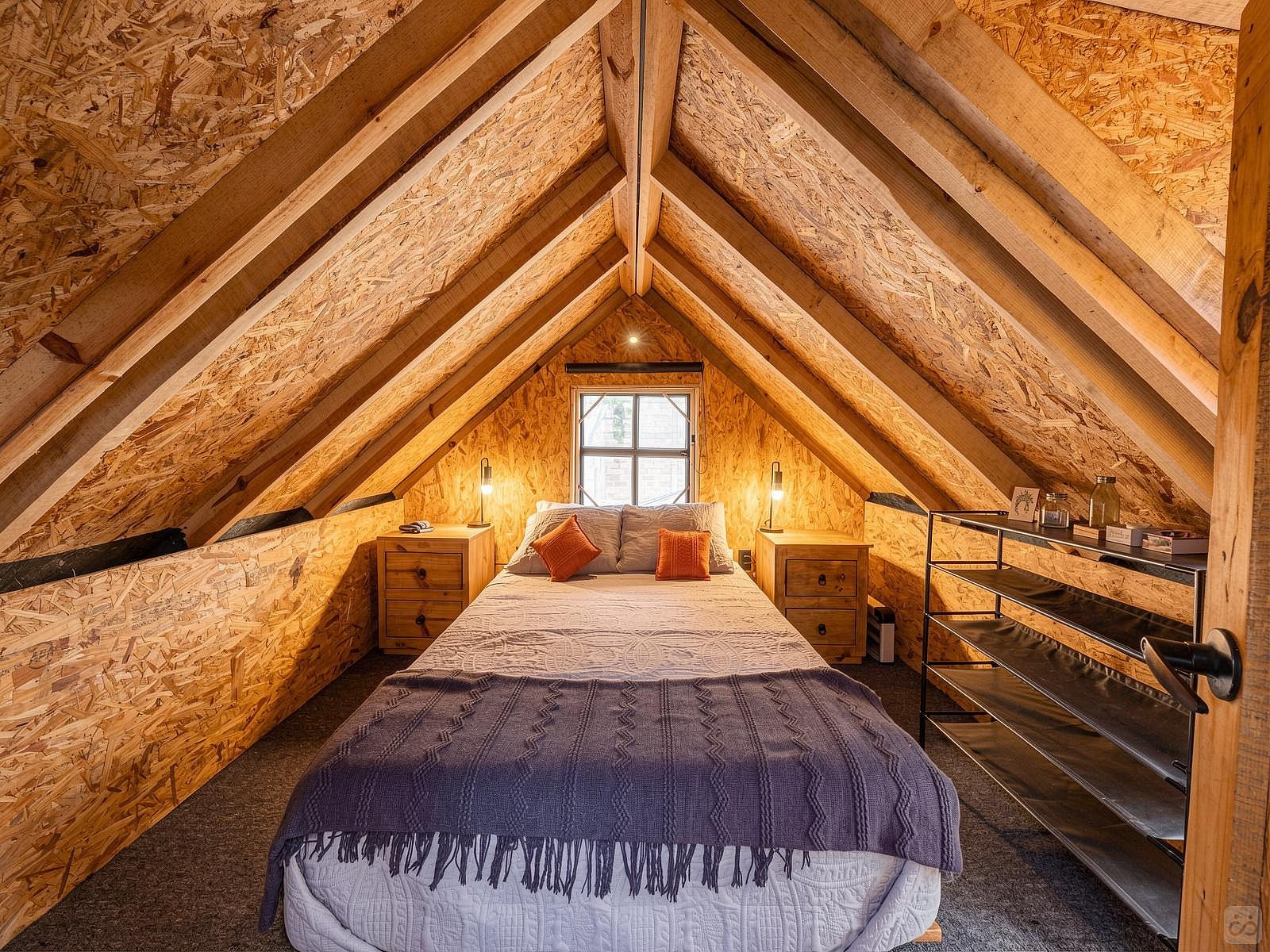  Ficus Tree House Small  -  La Estropajera House  - Gallery -  21