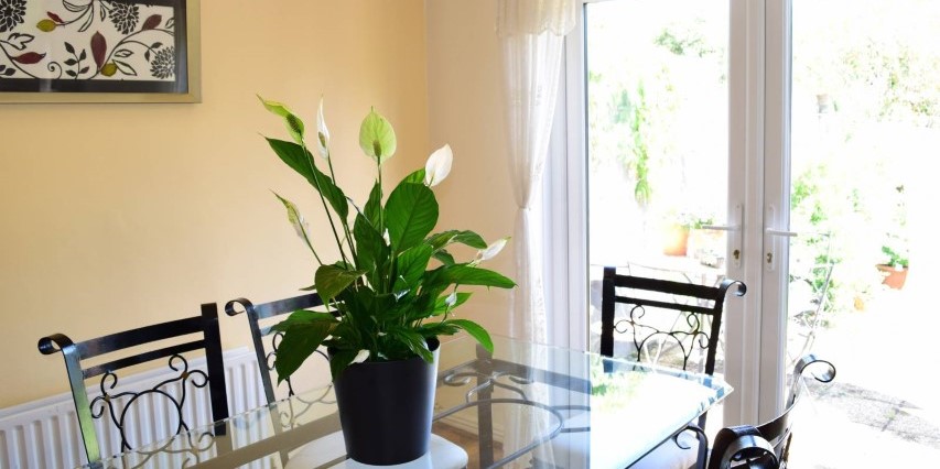 Large room with built-in wardrobe in 3-bedroom apartment in Tallaght