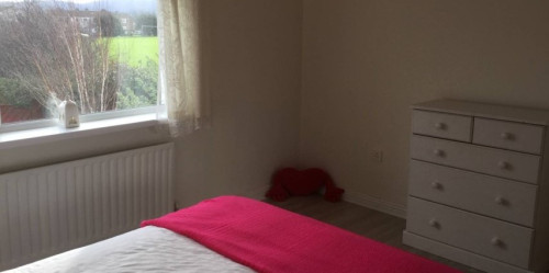 Large room with built-in wardrobe in 3-bedroom apartment in Tallaght - Gallery - 8