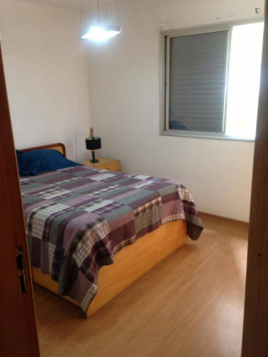 Charming 1-bedroom apartment in Bela Vista