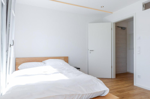 Double bedroom in a stunning apartment of 3 bedrooms in Sendling