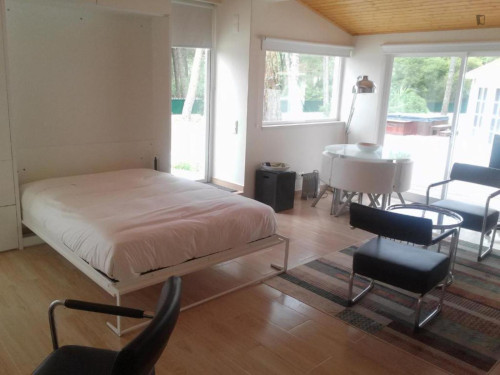 Amazing Studio with outdoor area in Sintra