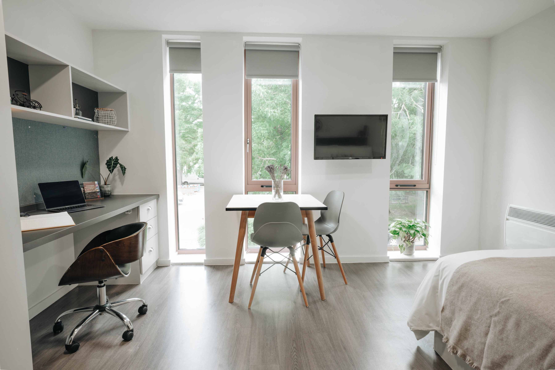  Silver Studio  -  Alma Court  - Gallery -  9