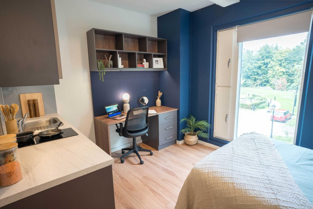  Premium Studio  -  Hox Park  - Gallery -  7