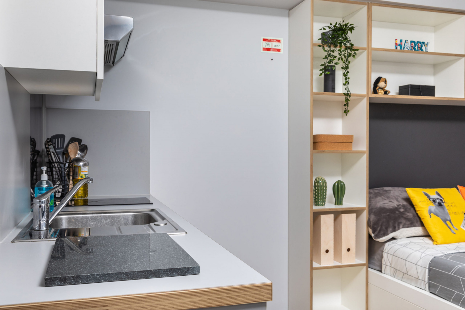  Premium Plus Studio  -  The Depot  - Gallery -  2