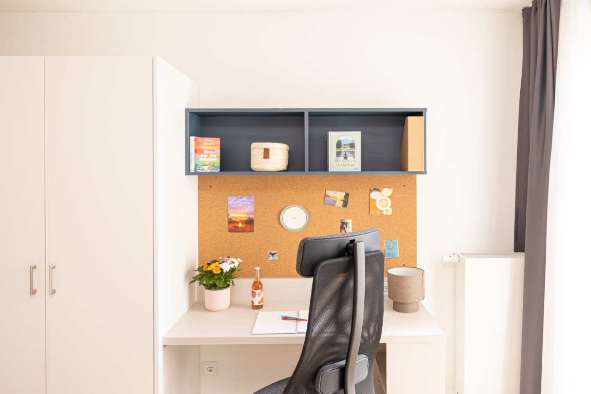 Studio L Gold - 11
