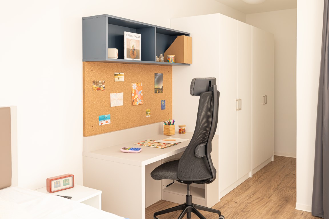 Studio XL Gold - 21