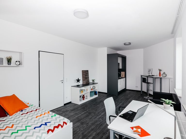 Studio XXL Platinum - Leonis - Gallery - 1