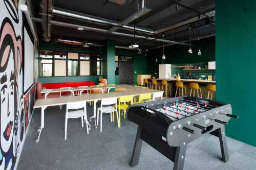 Sunny and wide studio in Labège