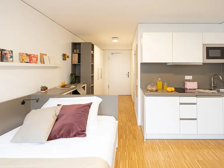  Studio S Platinum  -  Urbanum  - Gallery -  1