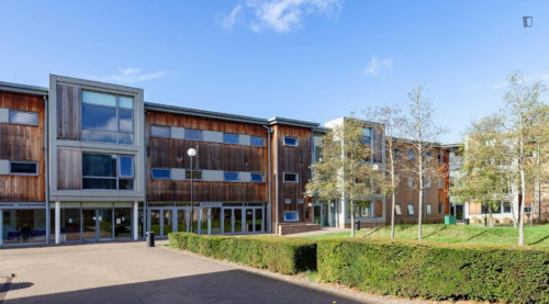 Snug double ensuite bedroom next to the University of Bedfordshire  - Gallery -  5
