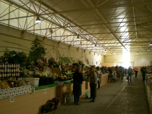 Welcoming 2-bedroom apartment with garden and pool