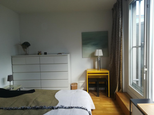 Bright double bedroom with a terrace, close to the Vienna Medical University