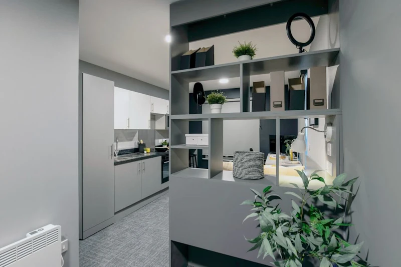  Club Studio  -  Ash Grove Court  - Gallery -  4