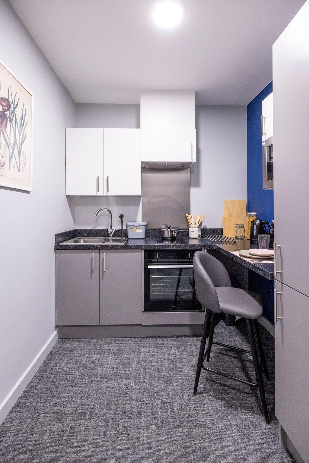  Classic Studio  -  Ash Grove Court  - Gallery -  20