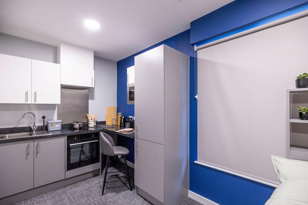  Classic Studio  -  Ash Grove Court  - Gallery -  11