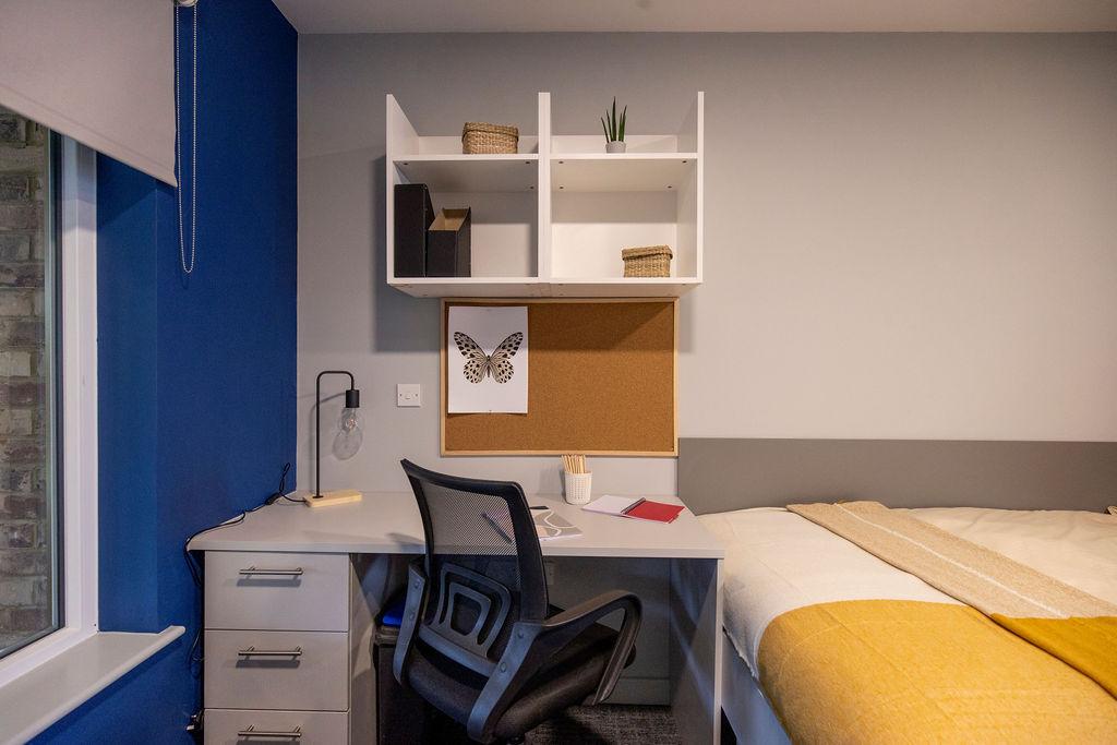  Premium Studio  -  Ash Grove Court  - Gallery -  14
