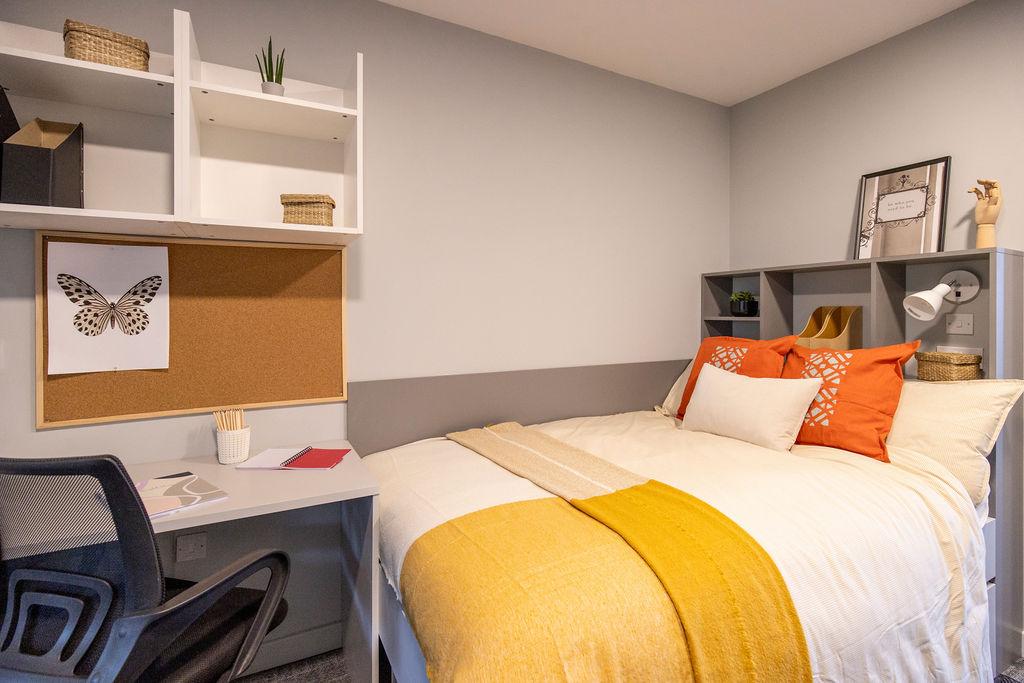  Premium Studio  -  Ash Grove Court  - Gallery -  12