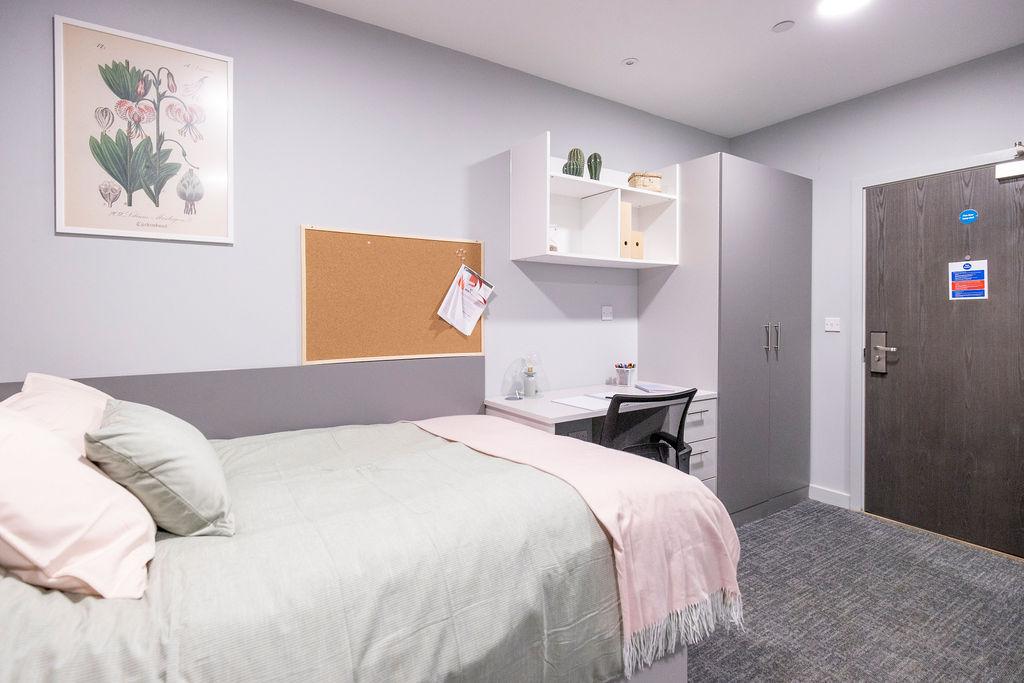  Standard Studio  -  Ash Grove Court  - Gallery -  16