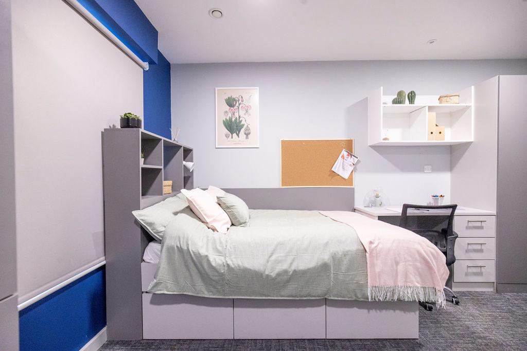  Standard Studio  -  Ash Grove Court  - Gallery -  7