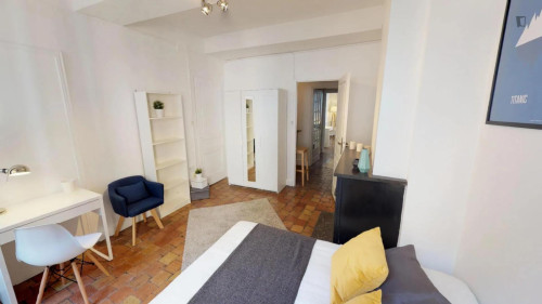 Cute double bedroom next to the Musée des Beaux-Arts de Lyon